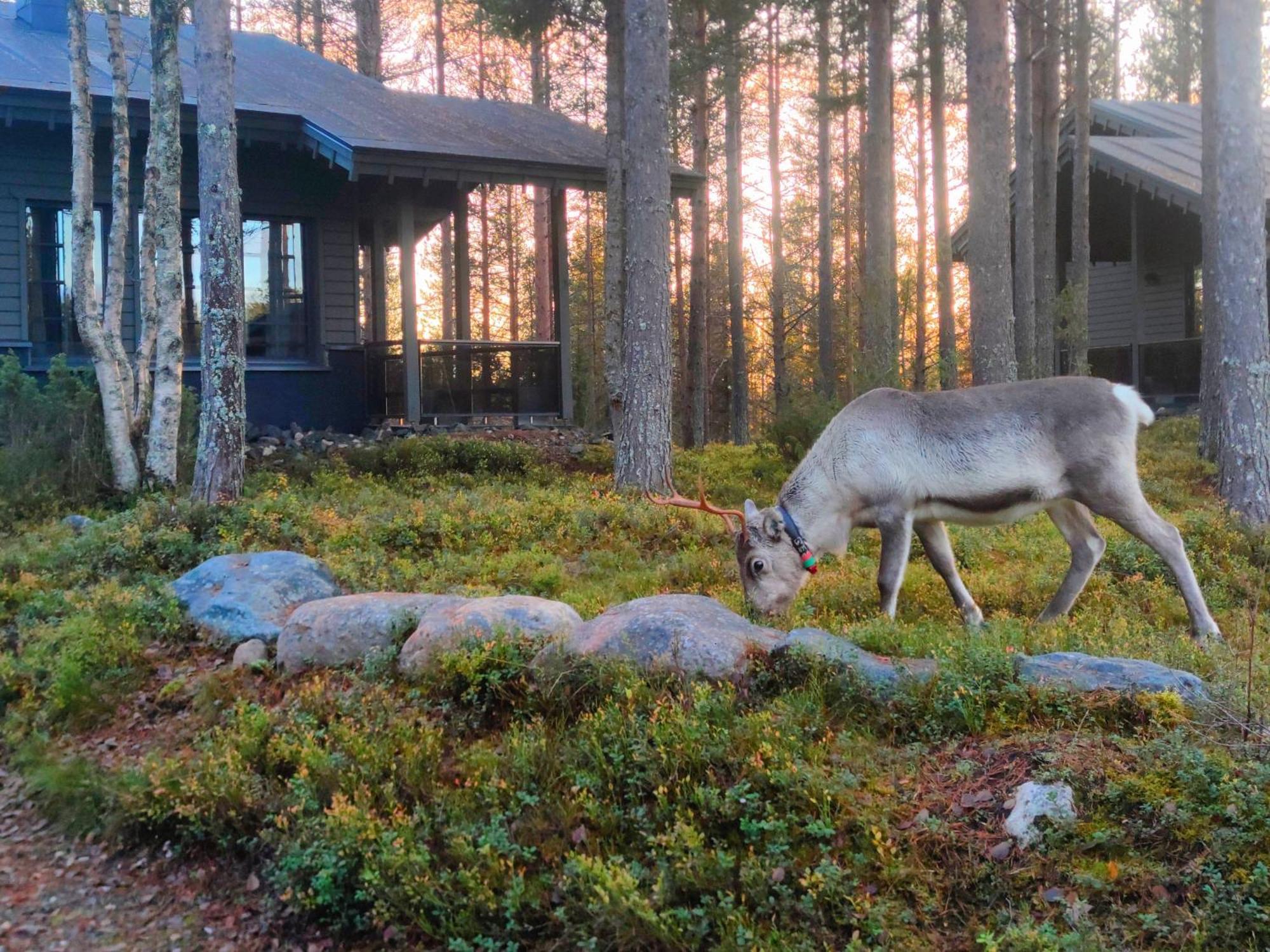 Вилла Tunturipoelloe 1 Рука Экстерьер фото
